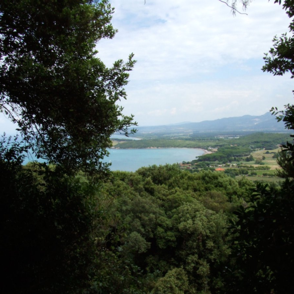 Golfo di Baratti visto dal percorso naturalistico della via delle Grotte