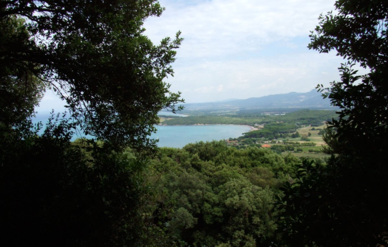 Golfo di Baratti visto dal percorso naturalistico della via delle Grotte