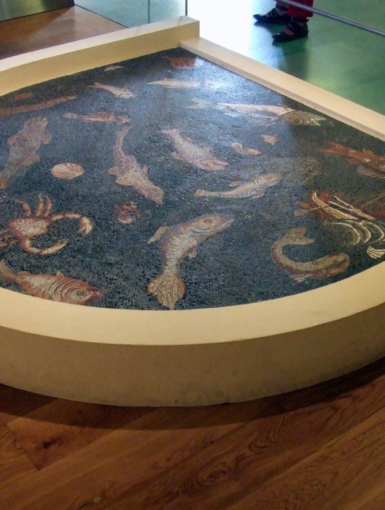 Mosaico dei Pesci ricostruito, esposto al Museo Archeologico di Piombino